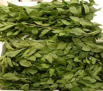 ;筳杞蠈h佁$??O佌%礝槶作1鶽讨]X幺%鼍雋?亚鸑渇鞥監z酃ElX霱_听苢燹煿b13`%[ワ@	岇熥?h?缏鐂噌V?moTH?~'槉?菧P啝詸S稿(鷃?俺?郁 -中欧登录入口